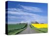 Road Running Through Canola and Wheat Fields, Grangeville, Idaho, USA-Terry Eggers-Stretched Canvas