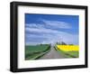 Road Running Through Canola and Wheat Fields, Grangeville, Idaho, USA-Terry Eggers-Framed Photographic Print