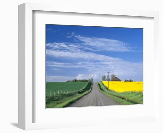 Road Running Through Canola and Wheat Fields, Grangeville, Idaho, USA-Terry Eggers-Framed Photographic Print