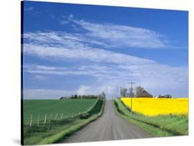 Road Running Through Canola and Wheat Fields, Grangeville, Idaho, USA-Terry Eggers-Stretched Canvas