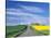 Road Running Through Canola and Wheat Fields, Grangeville, Idaho, USA-Terry Eggers-Stretched Canvas