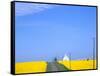 Road Running Through Canola Field with Gray Barn, Grangeville, Idaho, USA-Terry Eggers-Framed Stretched Canvas