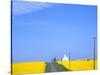 Road Running Through Canola Field with Gray Barn, Grangeville, Idaho, USA-Terry Eggers-Stretched Canvas