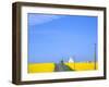 Road Running Through Canola Field with Gray Barn, Grangeville, Idaho, USA-Terry Eggers-Framed Photographic Print