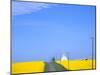 Road Running Through Canola Field with Gray Barn, Grangeville, Idaho, USA-Terry Eggers-Mounted Photographic Print