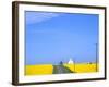 Road Running Through Canola Field with Gray Barn, Grangeville, Idaho, USA-Terry Eggers-Framed Photographic Print