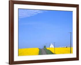 Road Running Through Canola Field with Gray Barn, Grangeville, Idaho, USA-Terry Eggers-Framed Photographic Print