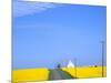 Road Running Through Canola Field with Gray Barn, Grangeville, Idaho, USA-Terry Eggers-Mounted Photographic Print