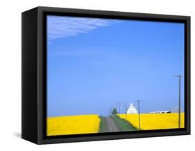 Road Running Through Canola Field with Gray Barn, Grangeville, Idaho, USA-Terry Eggers-Framed Stretched Canvas