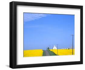 Road Running Through Canola Field with Gray Barn, Grangeville, Idaho, USA-Terry Eggers-Framed Photographic Print