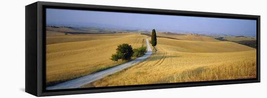 Road Running Through Open Countryside, Orcia Valley, Siena Region, Tuscany, Italy-Bruno Morandi-Framed Stretched Canvas