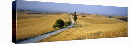 Road Running Through Open Countryside, Orcia Valley, Siena Region, Tuscany, Italy-Bruno Morandi-Stretched Canvas