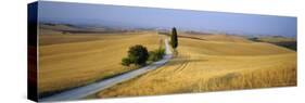 Road Running Through Open Countryside, Orcia Valley, Siena Region, Tuscany, Italy-Bruno Morandi-Stretched Canvas