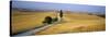 Road Running Through Open Countryside, Orcia Valley, Siena Region, Tuscany, Italy-Bruno Morandi-Stretched Canvas