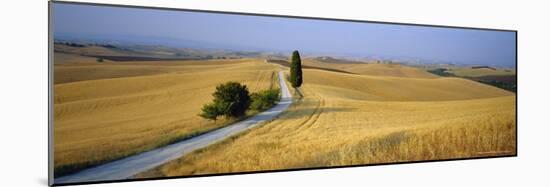 Road Running Through Open Countryside, Orcia Valley, Siena Region, Tuscany, Italy-Bruno Morandi-Mounted Premium Photographic Print