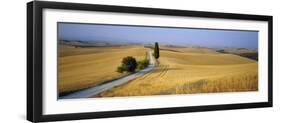 Road Running Through Open Countryside, Orcia Valley, Siena Region, Tuscany, Italy-Bruno Morandi-Framed Photographic Print