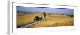 Road Running Through Open Countryside, Orcia Valley, Siena Region, Tuscany, Italy-Bruno Morandi-Framed Photographic Print