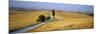 Road Running Through Open Countryside, Orcia Valley, Siena Region, Tuscany, Italy-Bruno Morandi-Mounted Photographic Print