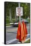 Road Safety Flags in Salt Lake City.-Jon Hicks-Framed Stretched Canvas