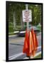 Road Safety Flags in Salt Lake City.-Jon Hicks-Framed Photographic Print