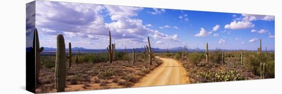 Road, Saguaro National Park, Arizona, USA-null-Stretched Canvas