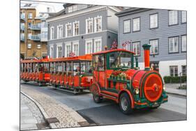 Road Sightseeing Train in Bergen-Pavlo Kolotenko-Mounted Photographic Print