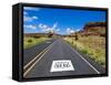 Road Sign Along Historic Route 66, New Mexico, United States of America, North America-Michael DeFreitas-Framed Stretched Canvas