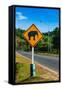 Road Sign Caution Elephants on the Track-Alan64-Framed Stretched Canvas