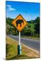 Road Sign Caution Elephants on the Track-Alan64-Mounted Photographic Print