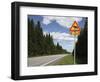 Road Sign for Elk Crossing, Highway Number 14, Punkaharju Ridge, Savonlinna-Dallas & John Heaton-Framed Photographic Print