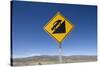 Road Sign in Patagonia, Argentina-null-Stretched Canvas