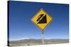 Road Sign in Patagonia, Argentina-null-Stretched Canvas