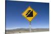 Road Sign in Patagonia, Argentina-null-Stretched Canvas