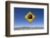 Road Sign in Patagonia, Argentina-null-Framed Photographic Print