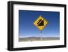 Road Sign in Patagonia, Argentina-null-Framed Photographic Print