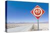 Road Sign in the Atacama Desert, Norte Grande, Chile, South America-Gavin Hellier-Stretched Canvas