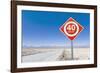 Road Sign in the Atacama Desert, Norte Grande, Chile, South America-Gavin Hellier-Framed Photographic Print