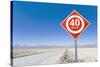 Road Sign in the Atacama Desert, Norte Grande, Chile, South America-Gavin Hellier-Stretched Canvas