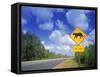 Road Sign of Animal Crossing, FL-Peter Adams-Framed Stretched Canvas