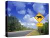 Road Sign of Animal Crossing, FL-Peter Adams-Stretched Canvas