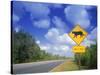 Road Sign of Animal Crossing, FL-Peter Adams-Stretched Canvas