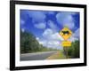 Road Sign of Animal Crossing, FL-Peter Adams-Framed Photographic Print