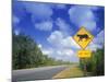 Road Sign of Animal Crossing, FL-Peter Adams-Mounted Photographic Print