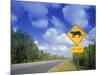 Road Sign of Animal Crossing, FL-Peter Adams-Mounted Photographic Print