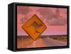 Road Sign, Shark Bay National Park, Western Australia, Australia-Doug Pearson-Framed Stretched Canvas