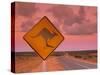 Road Sign, Shark Bay National Park, Western Australia, Australia-Doug Pearson-Stretched Canvas