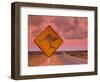 Road Sign, Shark Bay National Park, Western Australia, Australia-Doug Pearson-Framed Photographic Print