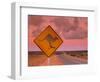 Road Sign, Shark Bay National Park, Western Australia, Australia-Doug Pearson-Framed Photographic Print