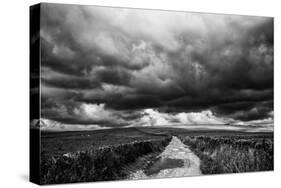 Road Through a Storm-Rory Garforth-Stretched Canvas