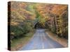 Road Through Acadia National Park in the Fall, Maine, Usa-Joanne Wells-Stretched Canvas